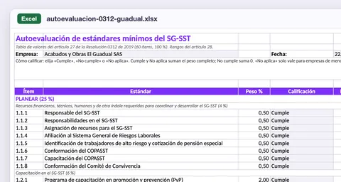 Autoevaluación de los estándares mínimos en Excel: cada ítem con su peso y la calificación